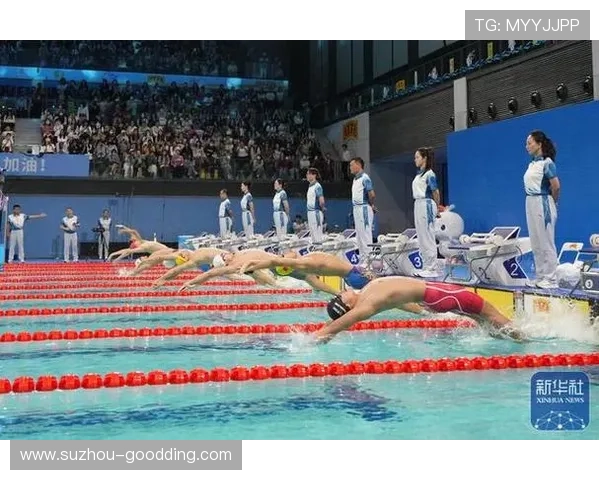 全运会男子五十米仰泳半决赛精彩激烈争夺全面赛况深度详解报道